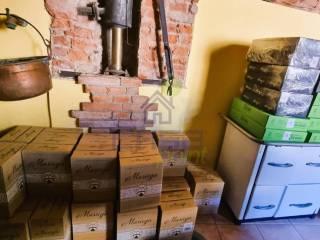 Terratetto unifamiliare via Veneto, Secugnago — foto 5 di 26