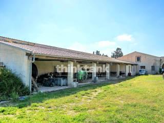Rustico Contrada Miucia, Ispica — foto 47 di 71