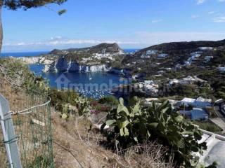 Casale via Campo Inglese, Ponza — foto 9 di 11