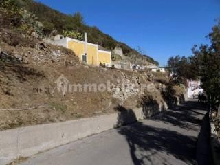 Casale via Campo Inglese, Ponza — foto 6 di 11