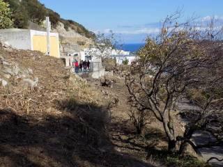 Casale via Campo Inglese, Ponza — foto 3 di 11