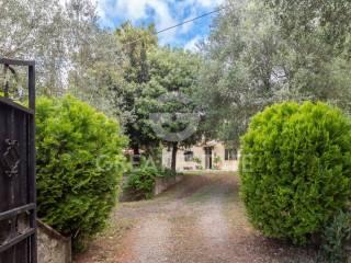 Casale, buono stato, 167 m², Orvieto — foto 39 di 47