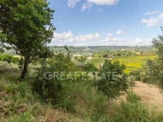 Casale, buono stato, 167 m², Orvieto