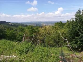 Casale via Salvo D'Acquisto, Centro, Alviano — foto 6 di 14