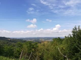 Casale via Salvo D'Acquisto, Centro, Alviano — foto 2 di 14