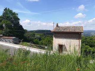 Casale via Salvo D'Acquisto, Centro, Alviano — foto 7 di 14