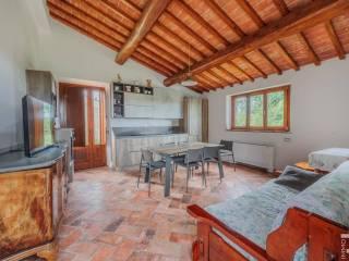 Rustico Località Lano, Quartaia, Pian dell'Olmino, Mensanello, Colle di Val d'Elsa — foto 24 di 28