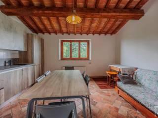 Rustico Località Lano, Quartaia, Pian dell'Olmino, Mensanello, Colle di Val d'Elsa — foto 11 di 28