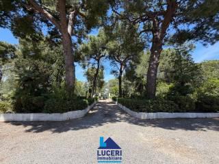 Villa unifamiliare via Santa Caterina, Centro, Nardò — foto 6 di 20