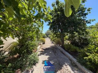 Villa unifamiliare via Santa Caterina, Centro, Nardò — foto 9 di 20