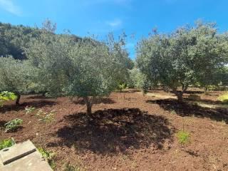 Villa unifamiliare C.da Ulmo, Ceglie Messapica
