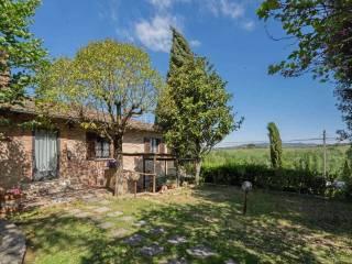 Rustico via del Chianti, Centro, Castelnuovo Berardenga — foto 11 di 26