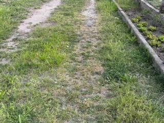 Terratetto unifamiliare 120 m², buono stato, Centro, Fratta Polesine — foto 3 di 50