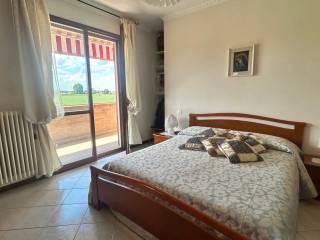 Villa a schiera via Antonio Gramsci, Trecasali, Sissa Trecasali — foto 5 di 104