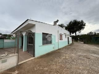 Villa unifamiliare Contrada marangi, Ceglie Messapica — foto 36 di 41