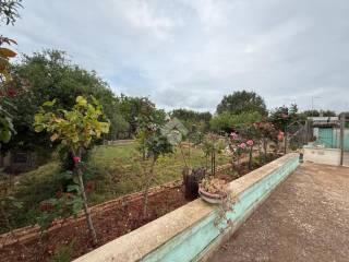 Villa unifamiliare Contrada marangi, Ceglie Messapica — foto 19 di 41