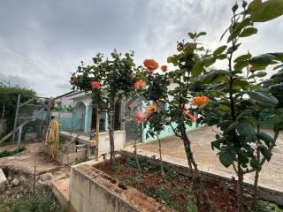 Villa unifamiliare Contrada marangi, Ceglie Messapica — foto 29 di 41