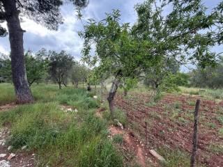 Villa unifamiliare Contrada marangi, Ceglie Messapica — foto 7 di 41