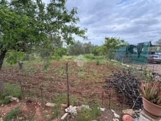 Villa unifamiliare Contrada marangi, Ceglie Messapica — foto 22 di 41