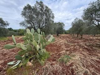 Villa unifamiliare Contrada marangi, Ceglie Messapica — foto 25 di 41