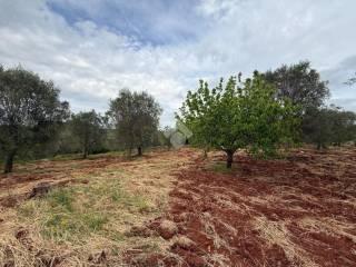 Villa unifamiliare Contrada marangi, Ceglie Messapica — foto 30 di 41