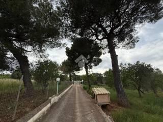Villa unifamiliare Contrada marangi, Ceglie Messapica — foto 15 di 41