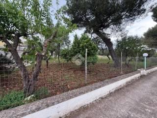 Villa unifamiliare Contrada marangi, Ceglie Messapica — foto 26 di 41