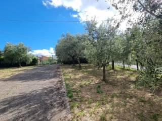 Villa a schiera Contrada Caponi 35, Caponi, Montemiletto — foto 24 di 36