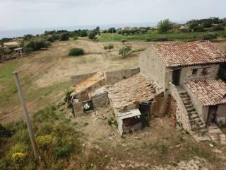 Cascina Strada Comunale Ciaramiti Brattirò, Ricadi — foto 3 di 20