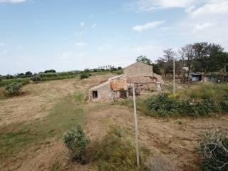 Cascina Strada Comunale Ciaramiti Brattirò, Ricadi — foto 6 di 20