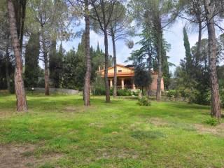 Villa unifamiliare, ottimo stato, 170 m², Castelnuovo della Misericordia, Gabbro, Rosignano Marittimo — foto 19 di 39