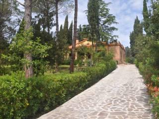 Villa unifamiliare, ottimo stato, 170 m², Castelnuovo della Misericordia, Gabbro, Rosignano Marittimo — foto 27 di 39
