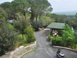 Villa unifamiliare, ottimo stato, 170 m², Castelnuovo della Misericordia, Gabbro, Rosignano Marittimo — foto 17 di 39