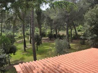 Villa unifamiliare, ottimo stato, 170 m², Castelnuovo della Misericordia, Gabbro, Rosignano Marittimo — foto 13 di 39