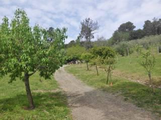 Villa unifamiliare, ottimo stato, 170 m², Castelnuovo della Misericordia, Gabbro, Rosignano Marittimo — foto 24 di 39
