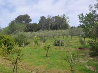 Villa unifamiliare, ottimo stato, 170 m², Castelnuovo della Misericordia, Gabbro, Rosignano Marittimo — foto 7 di 39