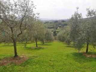 Villa unifamiliare, ottimo stato, 170 m², Castelnuovo della Misericordia, Gabbro, Rosignano Marittimo — foto 5 di 39