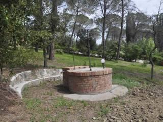 Villa unifamiliare, ottimo stato, 170 m², Castelnuovo della Misericordia, Gabbro, Rosignano Marittimo — foto 4 di 39