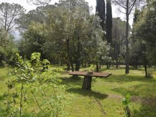 Villa unifamiliare, ottimo stato, 170 m², Castelnuovo della Misericordia, Gabbro, Rosignano Marittimo — foto 6 di 39