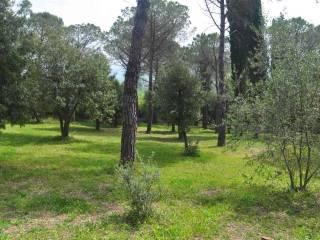 Villa unifamiliare, ottimo stato, 170 m², Castelnuovo della Misericordia, Gabbro, Rosignano Marittimo — foto 21 di 39