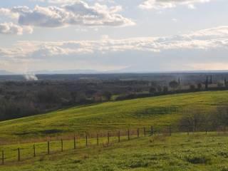 Rustico via vicinale di Valicandoli, Bibbona — foto 11 di 17
