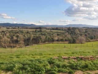 Rustico via vicinale di Valicandoli, Bibbona — foto 17 di 17