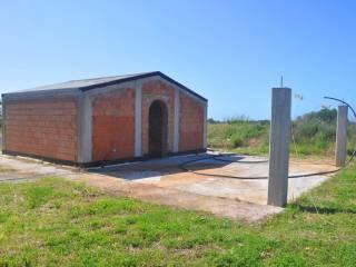 Rustico via vicinale di Valicandoli, Bibbona — foto 14 di 17