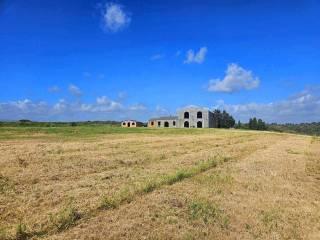 Rustico via vicinale di Valicandoli, Bibbona — foto 13 di 17