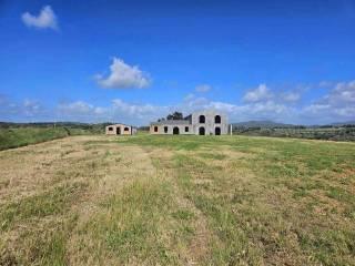 Rustico via vicinale di Valicandoli, Bibbona — foto 9 di 17