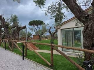 Villa unifamiliare Strada Provinciale Bolgherese, Castagneto Carducci — foto 8 di 19