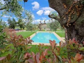 Villa unifamiliare Strada Provinciale Bolgherese, Castagneto Carducci — foto 10 di 19