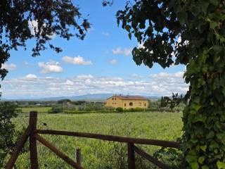 Villa unifamiliare Strada Provinciale Bolgherese, Castagneto Carducci — foto 9 di 19