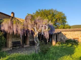 Villa unifamiliare Podere Casalino 20, Pari, Civitella Paganico — foto 6 di 26