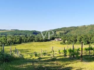 Villa unifamiliare Podere Casalino 20, Pari, Civitella Paganico — foto 16 di 26